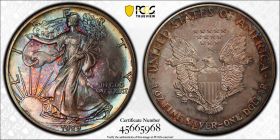 1989 $1 Toned Silver Eagle PCGS MS65 One Dollar Toner 45665968