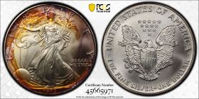 1993 $1 Toned Silver Eagle PCGS MS67 One Dollar Toner 465665971