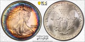 1991 $1 Toned Silver Eagle PCGS MS68 One Dollar Toner 46715838