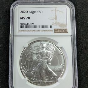 2020 Eagle $1 NGC MS 70 5832641-376