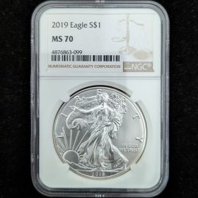 2019 Silver Eagle Dollar Coin $1 NGC MS 70 4876863-099 1oz Fine Silver