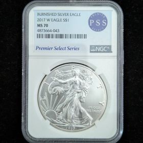 2017-W Burnished Silver Eagle Dollar Coin $1 NGC MS 70 Premier Series Select 4873664-043 1oz Fine Silver