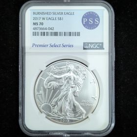 2017-W Burnished Silver Eagle Dollar Coin $1 NGC MS 70 Premier Series Select 4873664-042 1oz Fine Silver