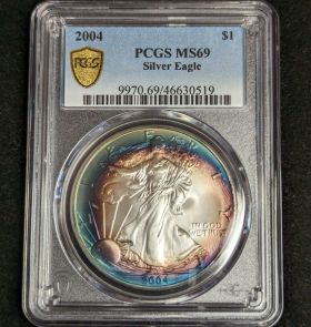 2004 $1 Toned Silver Eagle PCGS MS69 One Dollar Toner 46630519
